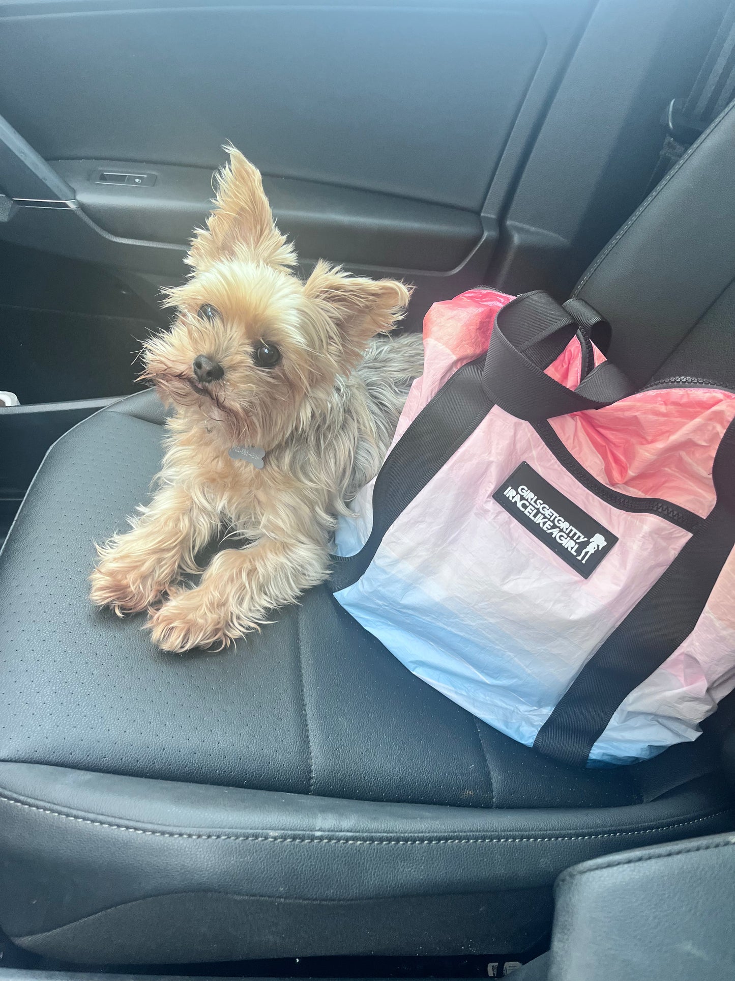 TEAM BAG Collection!
