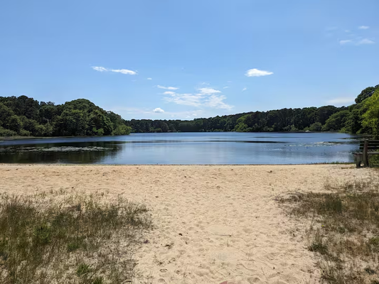 Cape Cod Team Retreat! - Triathlon and Gravel