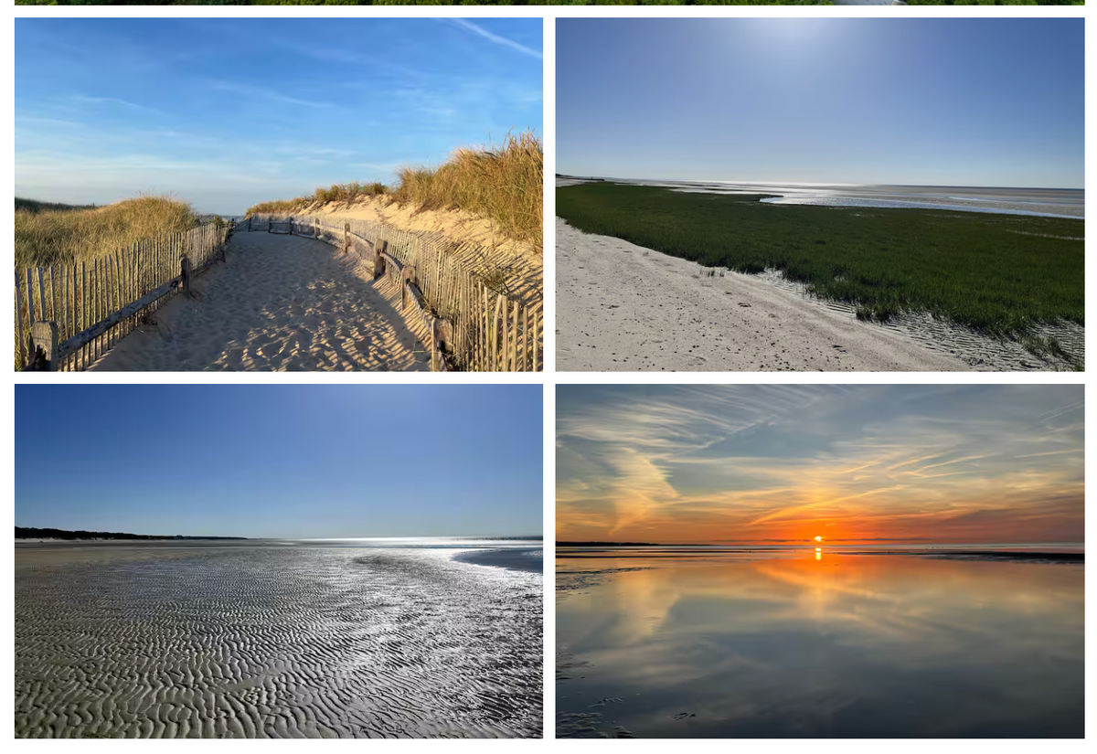 Cape Cod Team Retreat! - Triathlon and Gravel