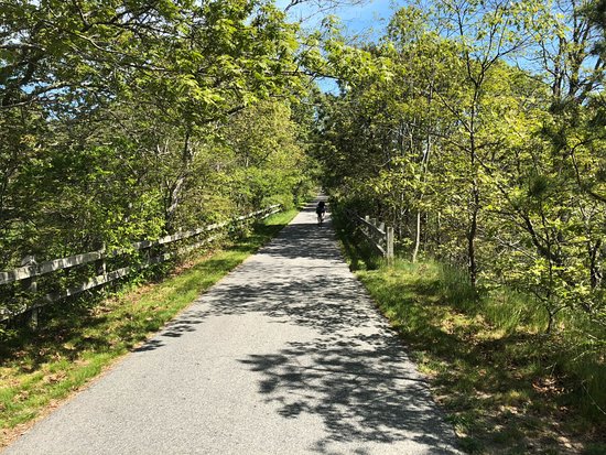 Cape Cod Team Retreat! - Triathlon and Gravel